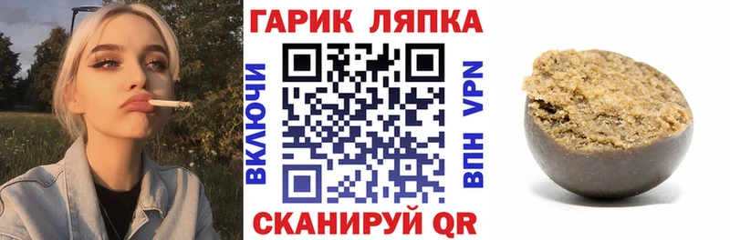ГАШ гарик hydra tor Алексин