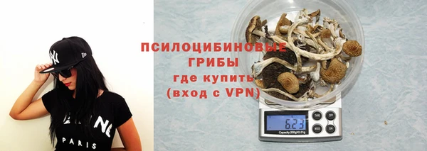 дурь Алексин