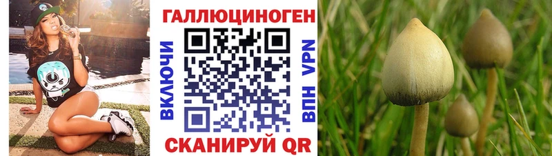 Галлюциногенные грибы ЛСД Алексин